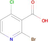 2-BROMO-4-CHLORONICOTINIC ACID