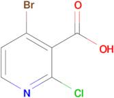 4-BROMO-2-CHLORONICOTINIC ACID