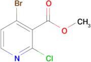 METHYL 4-BROMO-2-CHLORONICOTINATE