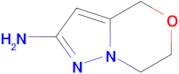6,7-DIHYDRO-4H-PYRAZOLO[5,1-C][1,4]OXAZIN-2-AMINE