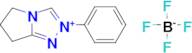 2-PHENYL-6,7-DIHYDRO-5H-PYRROLO[2,1-C][1,2,4]TRIAZOL-2-IUM TETRAFLUOROBORATE