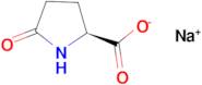 SODIUM L-PYROGLUTAMATE