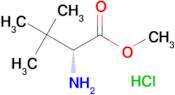 (R)-METHYL 2-AMINO-3,3-DIMETHYLBUTANOATE HCL