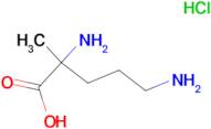 2,5-DIAMINO-2-METHYL-PENTANOIC ACID HYDROCHLORIDE