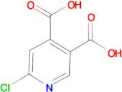 6-CHLOROPYRIDINE-3,4-DICARBOXYLIC ACID