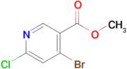 METHYL 4-BROMO-6-CHLORONICOTINATE