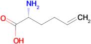(R)-2-AMINOHEX-5-ENOIC ACID