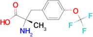 (S)-2-AMINO-2-METHYL-3-(4-(TRIFLUOROMETHOXY)PHENYL)PROPANOIC ACID