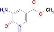 METHYL 5-AMINO-6-HYDROXYNICOTINATE