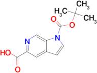 1-(TERT-BUTOXYCARBONYL)-1H-PYRROLO[2,3-C]PYRIDINE-5-CARBOXYLIC ACID