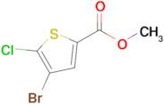 METHYL 4-BROMO-5-CHLOROTHIOPHENE-2-CARBOXYLATE