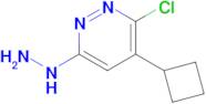 3-CHLORO-4-CYCLOBUTYL-6-HYDRAZINYLPYRIDAZINE