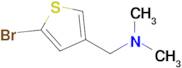 1-(5-BROMOTHIOPHEN-3-YL)-N,N-DIMETHYLMETHANAMINE