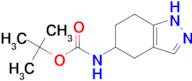 TERT-BUTYL (4,5,6,7-TETRAHYDRO-1H-INDAZOL-5-YL)CARBAMATE