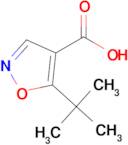 5-(TERT-BUTYL)ISOXAZOLE-4-CARBOXYLIC ACID