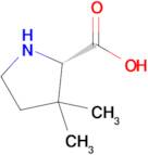 (S)-3,3-DIMETHYLPYRROLIDINE-2-CARBOXYLIC ACID