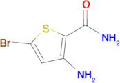 3-AMINO-5-BROMOTHIOPHENE-2-CARBOXAMIDE