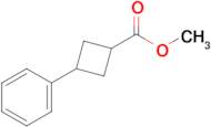 METHYL 3-PHENYLCYCLOBUTANECARBOXYLATE