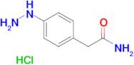 2-(4-HYDRAZINYLPHENYL)ACETAMIDE HCL