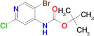 TERT-BUTYL (5-BROMO-2-CHLOROPYRIDIN-4-YL)CARBAMATE
