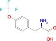 (2R)-2-AMINO-3-[4-(TRIFLUOROMETHOXY)PHENYL]PROPANOIC ACID