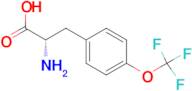 (2S)-2-AMINO-3-[4-(TRIFLUOROMETHOXY)PHENYL]PROPANOIC ACID