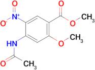 METHYL 4-(ACETYLAMINO)-2-METHOXY-5-NITROBENZOATE