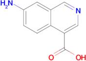 7-AMINOISOQUINOLINE-4-CARBOXYLIC ACID