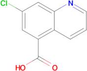 7-CHLOROQUINOLINE-5-CARBOXYLIC ACID