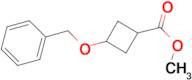 METHYL 3-(BENZYLOXY)CYCLOBUTANECARBOXYLATE