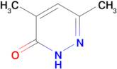 4,6-DIMETHYL-2,3-DIHYDROPYRIDAZIN-3-ONE