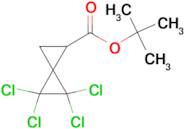 TERT-BUTYL 4,4,5,5-TETRACHLOROSPIRO[2.2]PENTANE-1-CARBOXYLATE