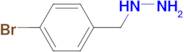 4-BROMOBENZYLHYDRAZINE