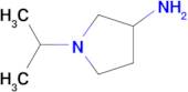 1-(PROPAN-2-YL)PYRROLIDIN-3-AMINE