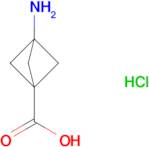 3-AMINOBICYCLO[1.1.1]PENTANE-1-CARBOXYLIC ACID HCL