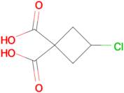3-CHLORO-CYCLOBUTANE-DICARBOXYLIC ACID