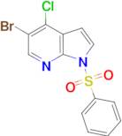 1H-PYRROLO[2,3-B]PYRIDINE, 5-BROMO-4-CHLORO-1-(PHENYLSULFONYL)-