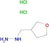 (OXOLAN-3-YLMETHYL)HYDRAZINE 2HCL