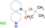 TERT-BUTYL 1,9-DIAZASPIRO[5.5]UNDECANE-1-CARBOXYLATE HCL