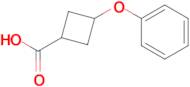 3-PHENOXYCYCLOBUTANECARBOXYLIC ACID