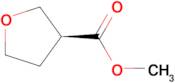 (S)-METHYL TETRAHYDROFURAN-3-CARBOXYLATE