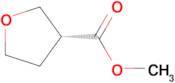 (R)-METHYL TETRAHYDROFURAN-3-CARBOXYLATE