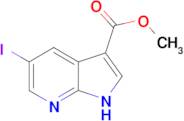 METHYL 5-IODO-7-AZAINDOLE-3-CARBOXYLATE