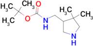 TERT-BUTYL N-[(4,4-DIMETHYLPYRROLIDIN-3-YL)METHYL]CARBAMATE