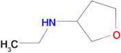 N-ETHYLOXOLAN-3-AMINE