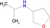 N-(PROPAN-2-YL)OXOLAN-3-AMINE
