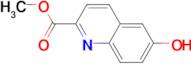 METHYL 6-HYDROXYQUINOLINE-2-CARBOXYLATE