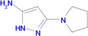 5-(PYRROLIDIN-1-YL)-1H-PYRAZOL-3-AMINE