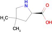 (R)-4,4-DIMETHYL-PYRROLIDINE-2-CARBOXYLIC ACID