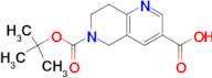 6-(TERT-BUTOXYCARBONYL)-5,6,7,8-TETRAHYDRO-1,6-NAPHTHYRIDINE-3-CARBOXYLIC ACID